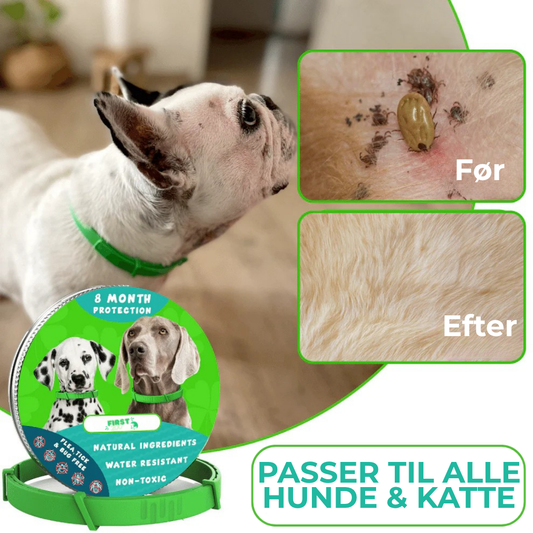 PawTector™ | Lad ikke dine kæledyr lide! Handl i dag, før flåter og lopper overtager deres kroppe og invaderer dit hjem!
