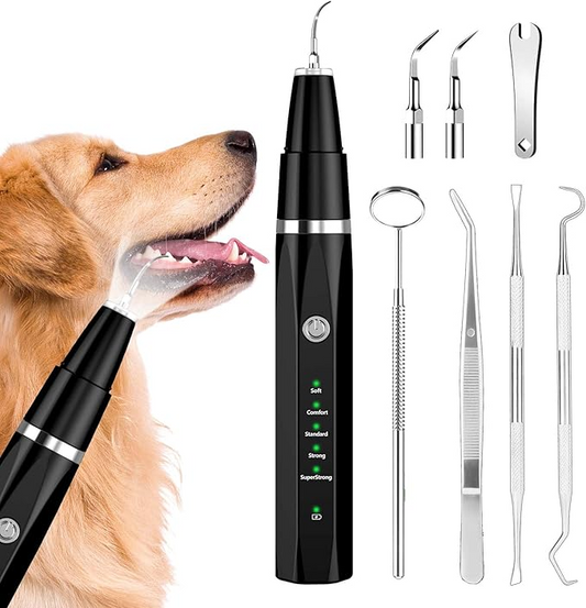 Dentapet Rx™ | Oplev en innovativ og sikker måde at holde din hunds tænder fri for plak og tandsten