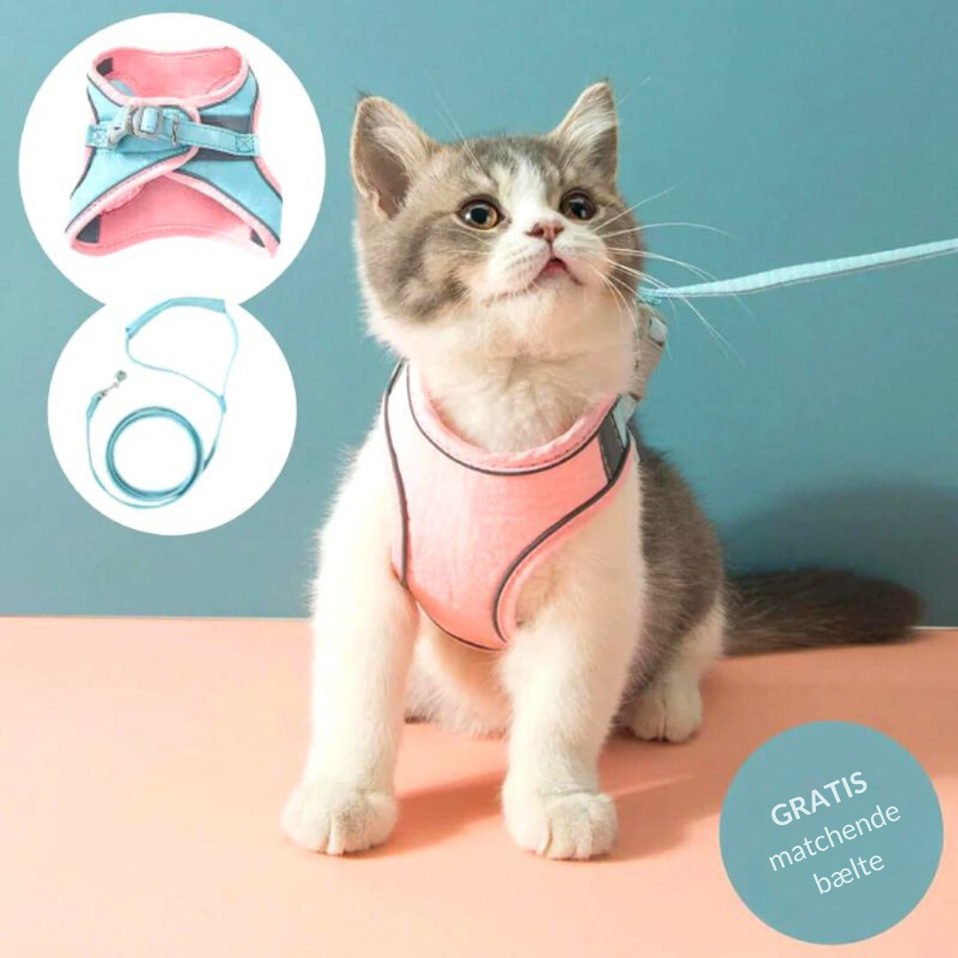 Meowz™ | Sele til katte