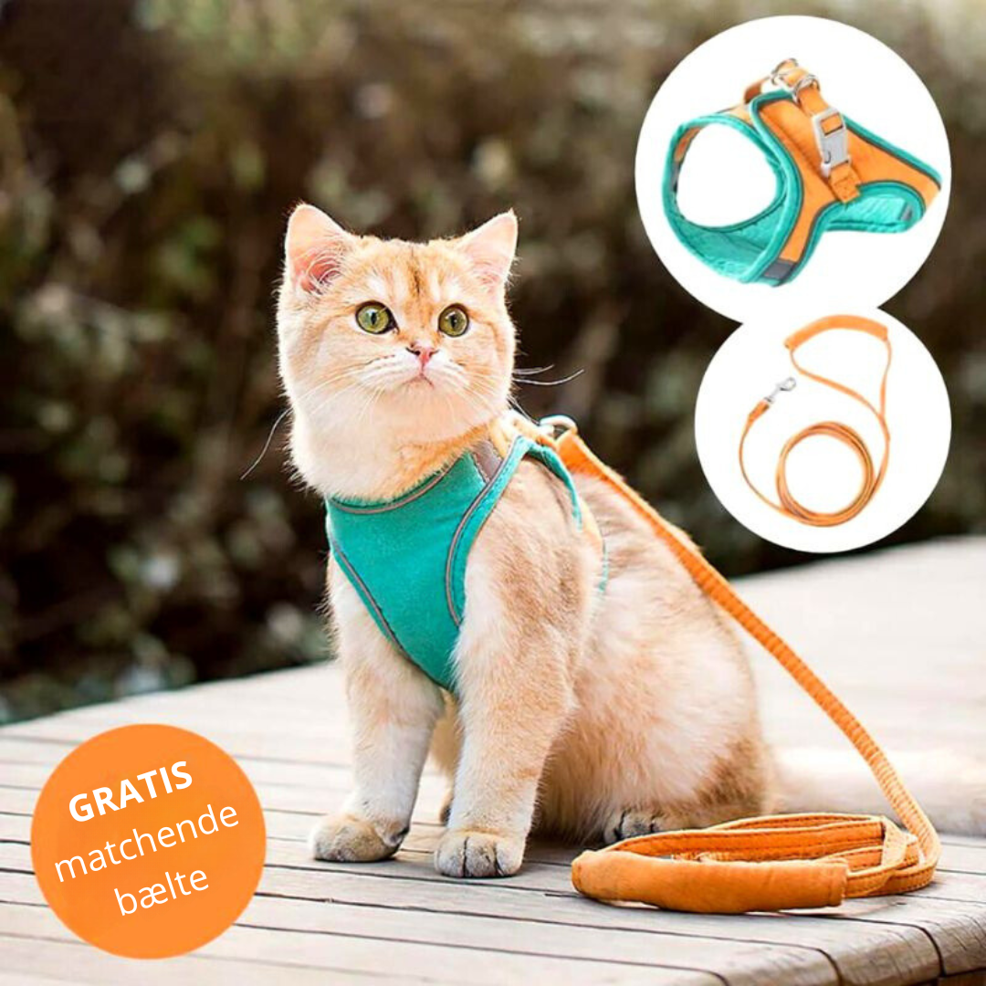 Meowz™ | Sele til katte