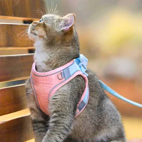 Meowz™ | Sele til katte