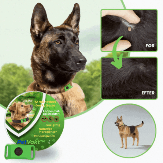 PetVakt™ | 100 % naturlige ingredienser – skånsom og sikker for din hund